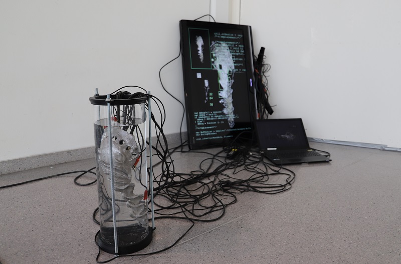 Alicia Ezpeleta expone “Digital Entities” en la sala Fantastik Lab
